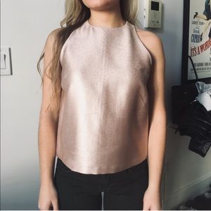 Zara Metallic Crop Top
